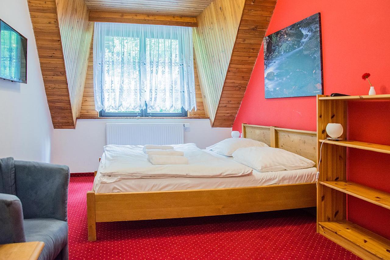 Horsky Hotel Vidly Karlova Studánka 외부 사진